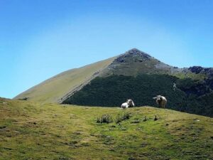 Come valorizzare la montagna