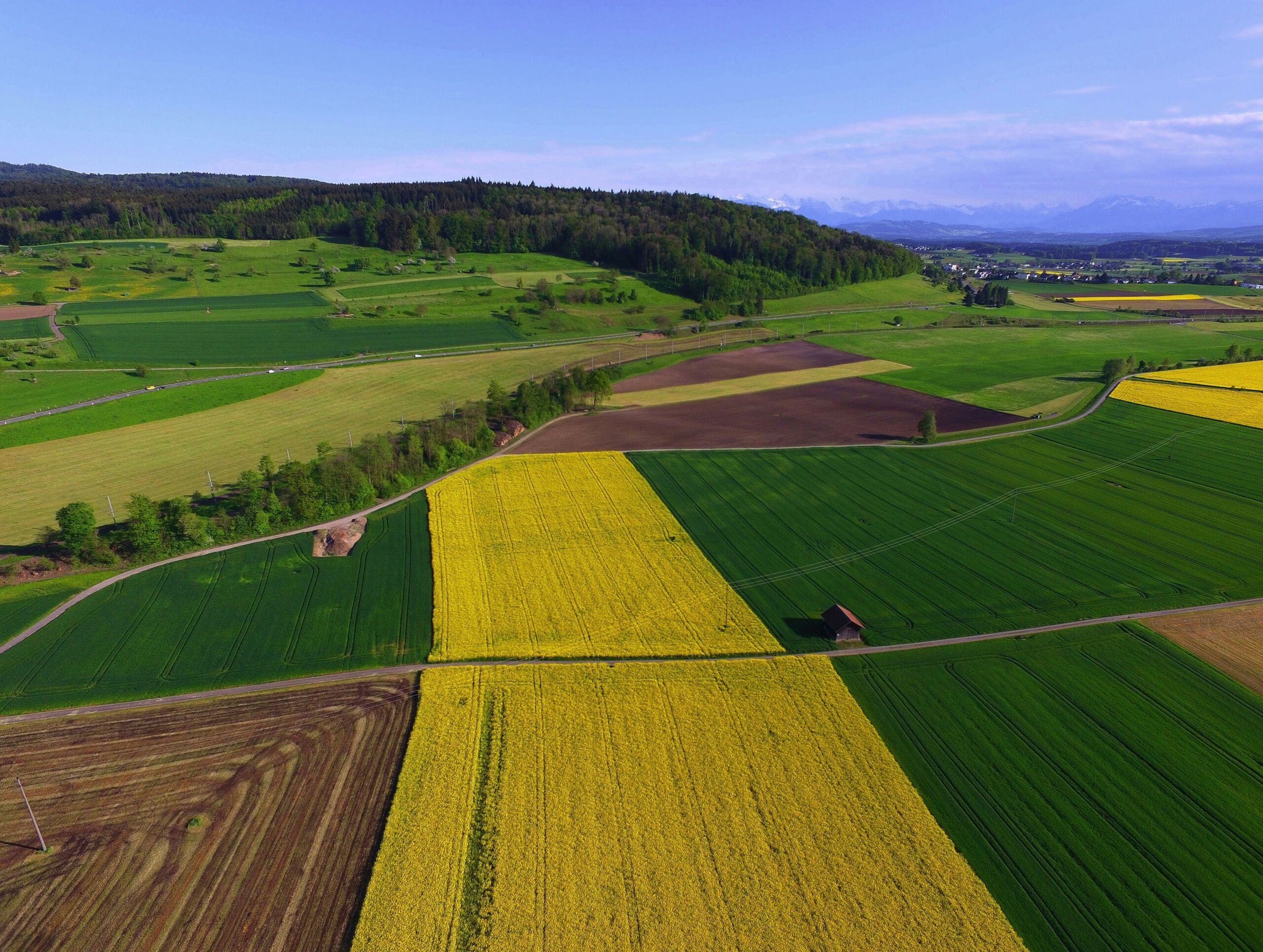 smart land